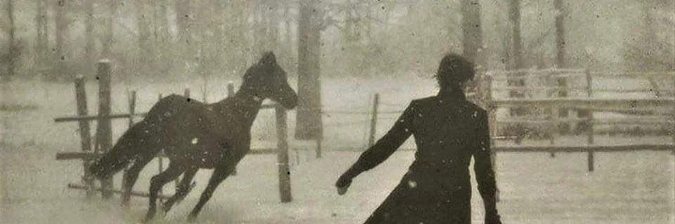 Lucius Roberts banner