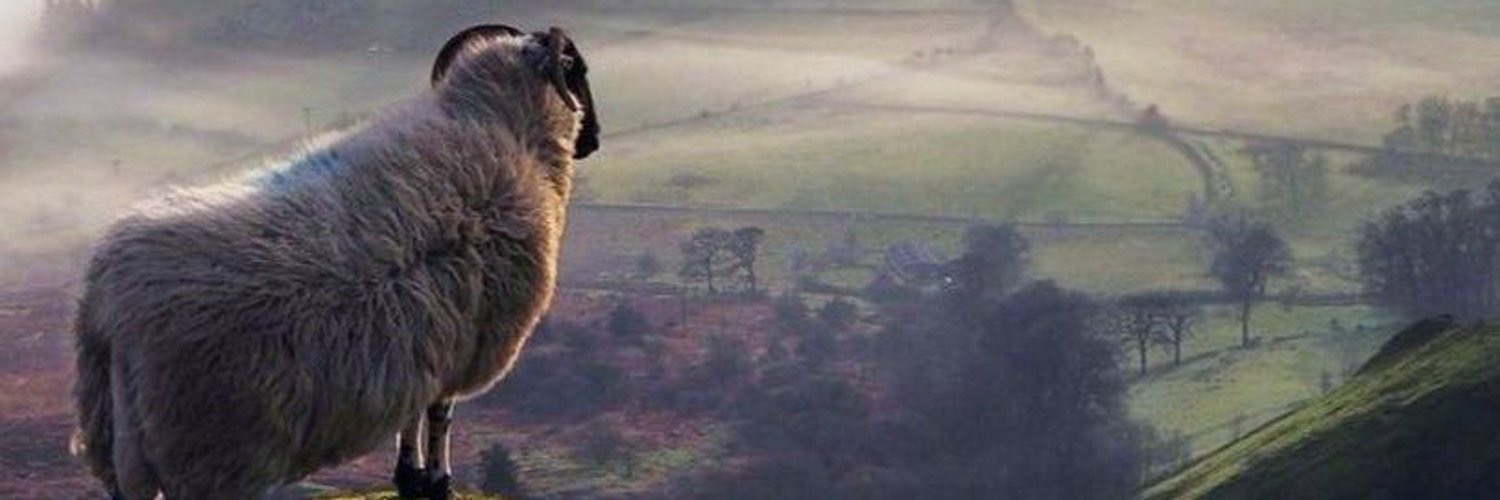 SamClarke2190's profile banner image