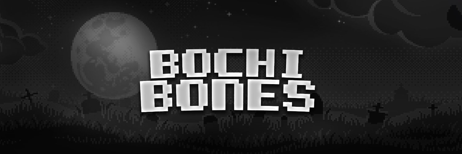 Bochi Bones (TURN ON NOTIS) banner
