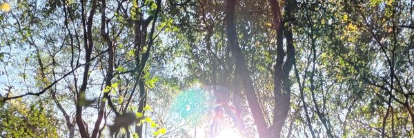 AlejandroMinio Profile Banner