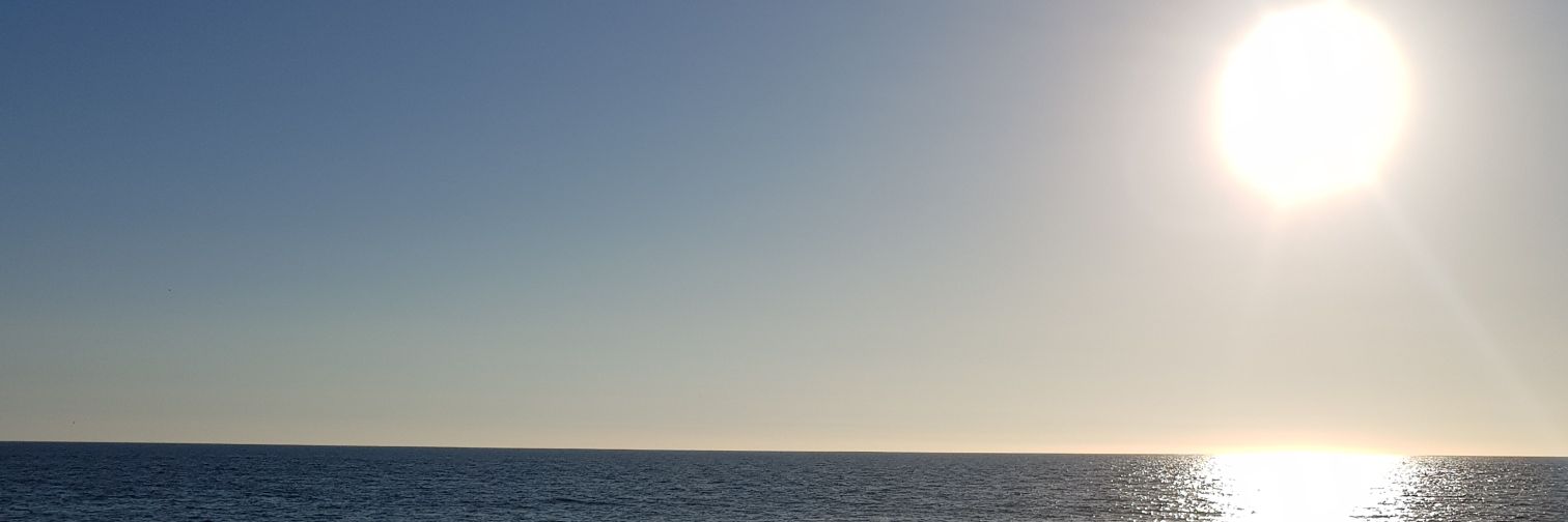 Carovst's profile banner image