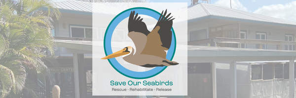 Save Our Seabirds banner