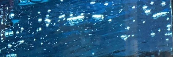 serotoneed's profile banner image
