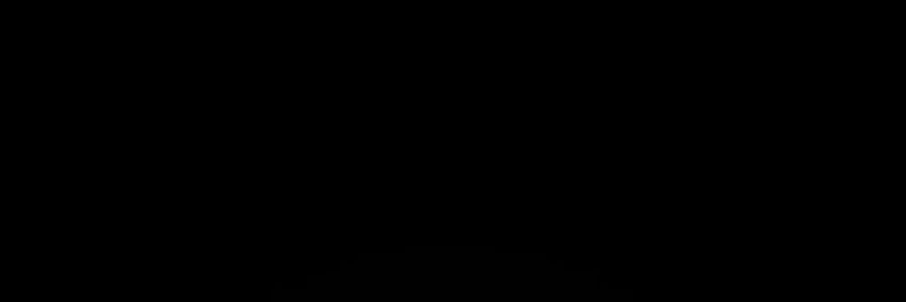 teodora banner