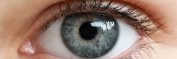 Lorenzetisabel2 Profile Banner