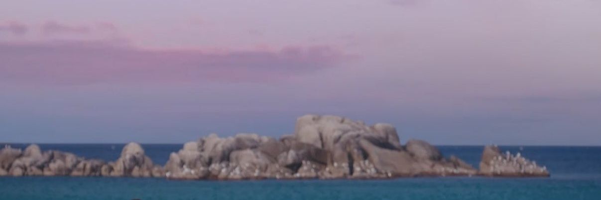 🧋Rra🧋 banner