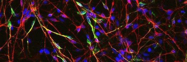 Sandrasunilk Profile Banner