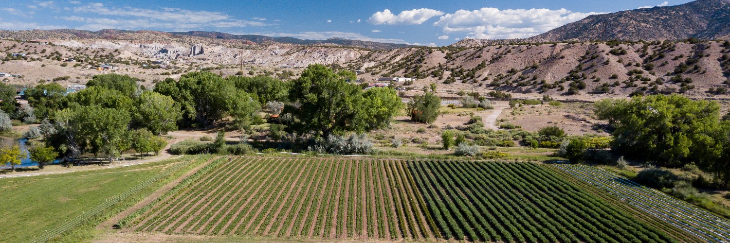 NativeRemedies banner