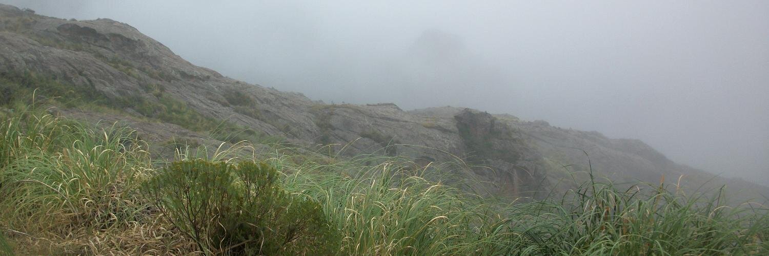 MAlejandraV's profile banner image