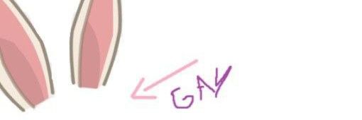 ⚚Shån banner