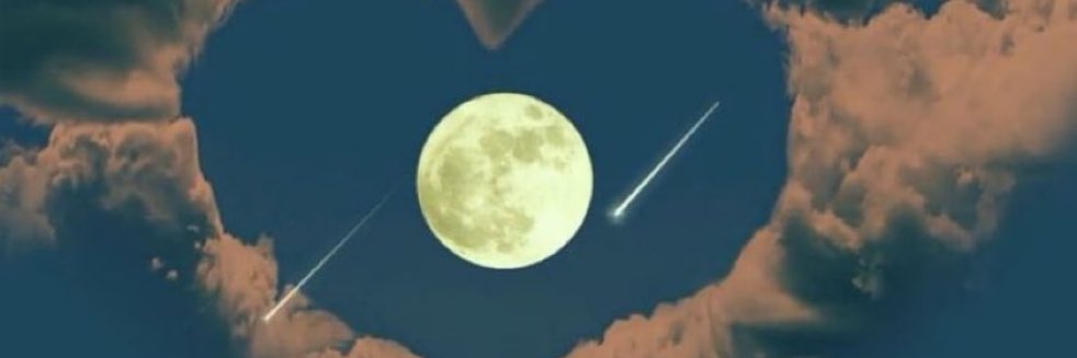 MOON LOVE banner