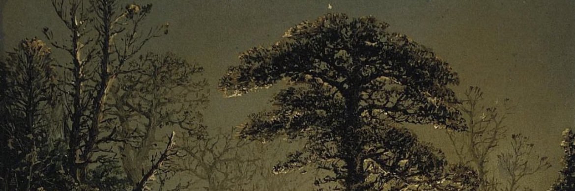 mkngrkn's profile banner image