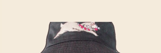 NNUN_TM's profile banner image