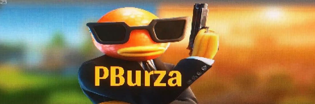 PBurza banner