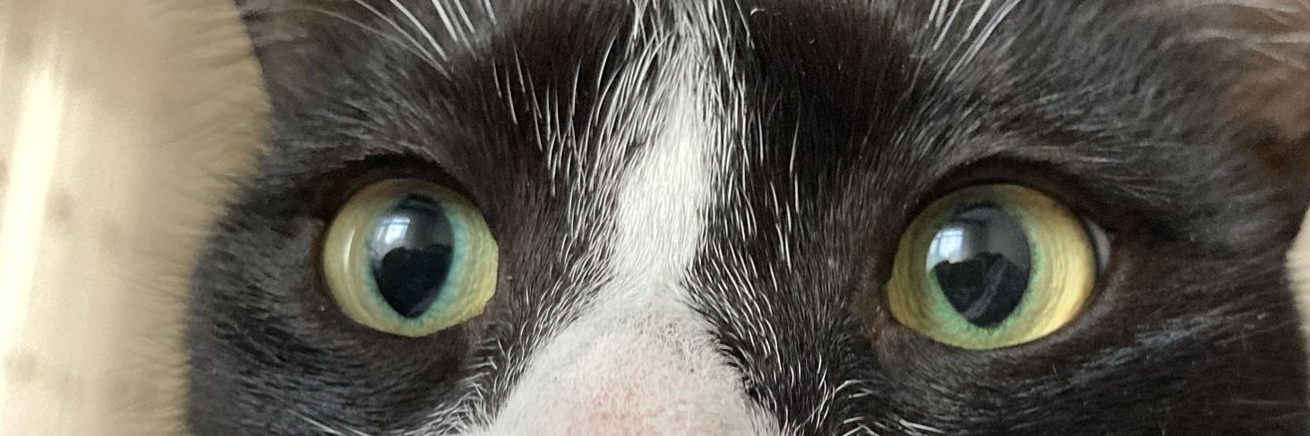 filizzxz's profile banner image