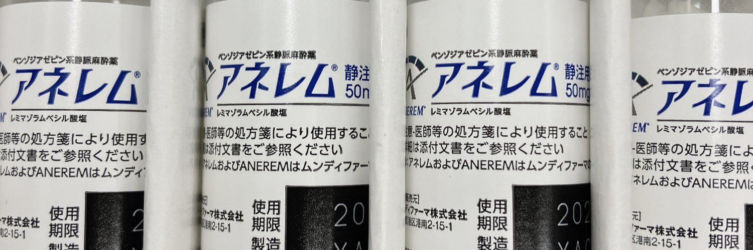 姉レム banner