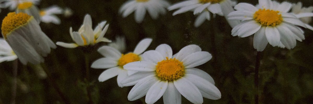 J_Matthew_S's profile banner image