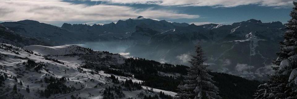 mcarter79's profile banner image