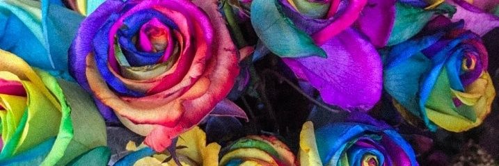 LightSpeed0007's profile banner image