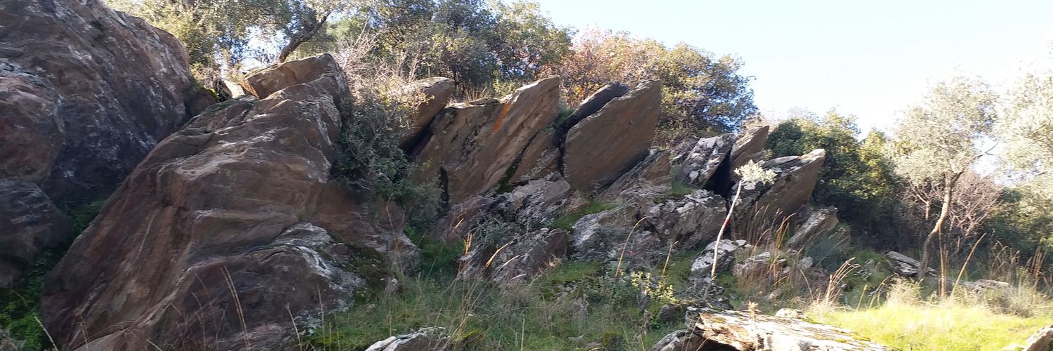 Hasan Hasanoğlu banner
