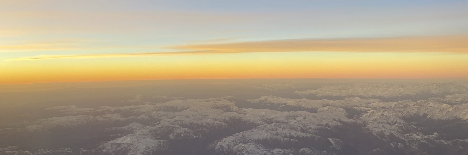 dshrnt__'s profile banner image