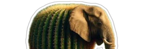 PedroCautio's profile banner image