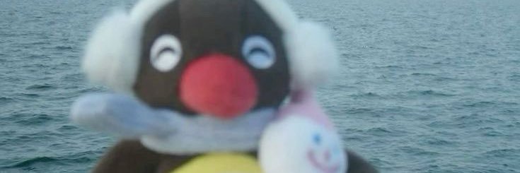 adoptmenicki's profile banner image
