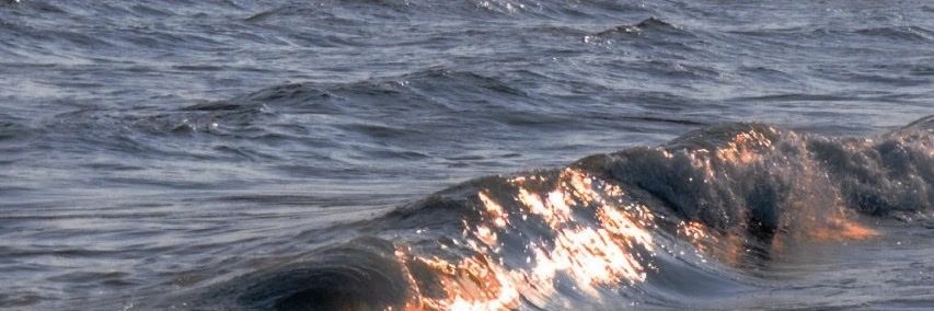 ManForn's profile banner image