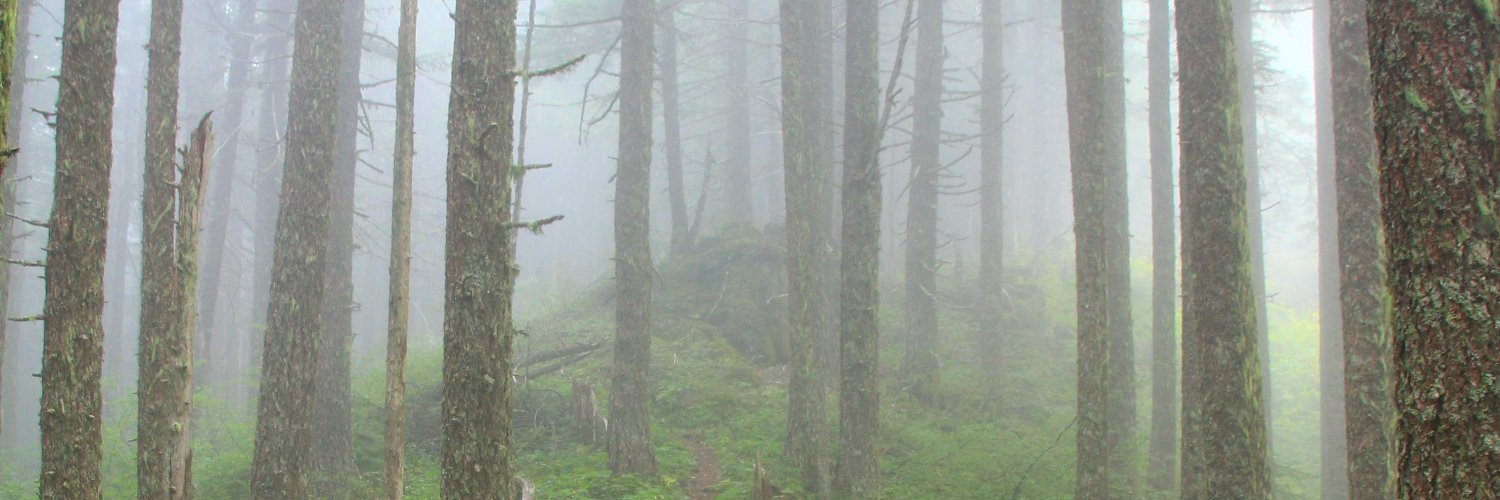 tgreseth's profile banner image