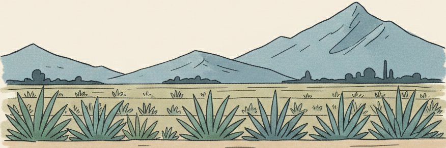 gaucharro's profile banner image