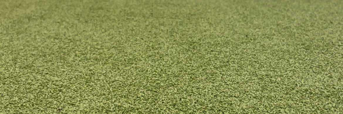 One Tru Voice banner