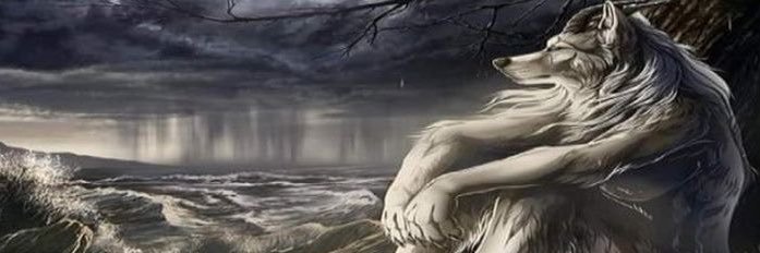 Pattxrg's profile banner image