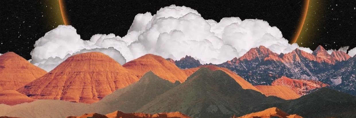 Mingo Cat Coin banner