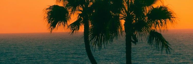 joelnevesa's profile banner image