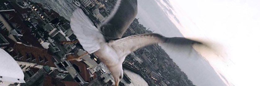 nailaytekn's profile banner image