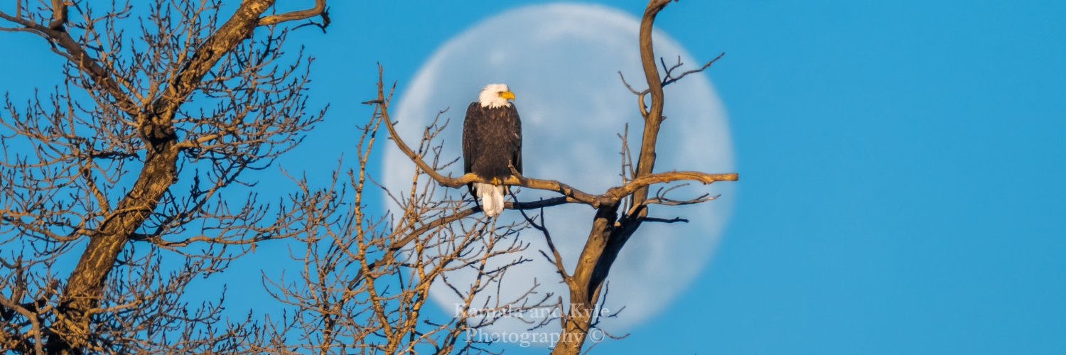 Kamala and Kyle Photography banner