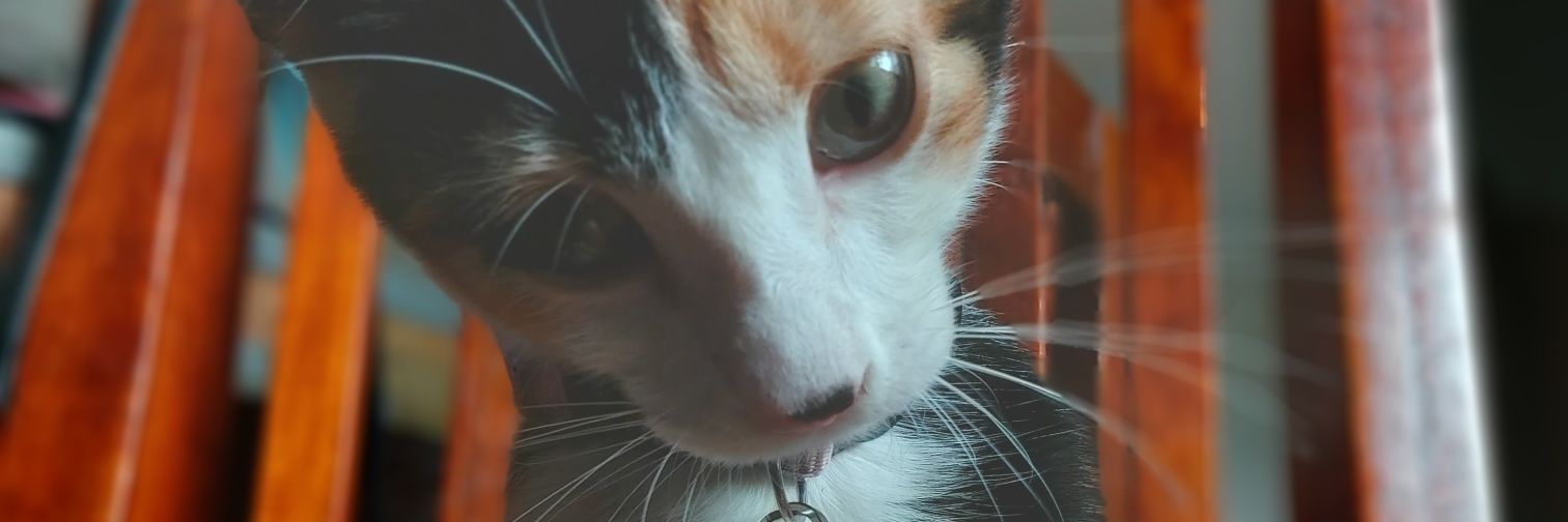 emeortega1's profile banner image