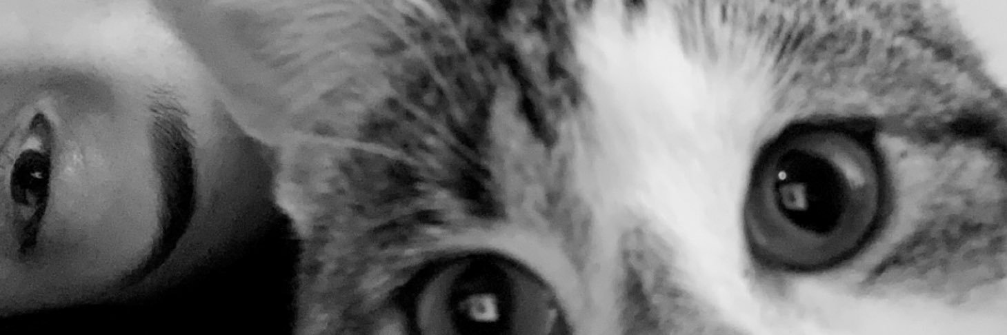 Rafalse_'s profile banner image