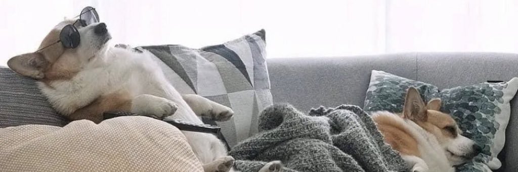 celiadeleon_'s profile banner image
