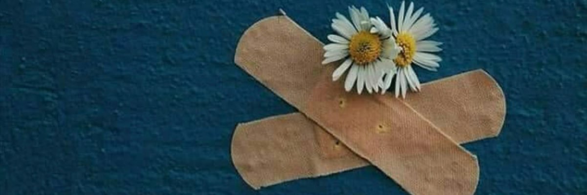 Bastet🐾🐈‍⬛👑🍀🐞 banner