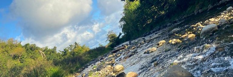 SimplyLisana's profile banner image