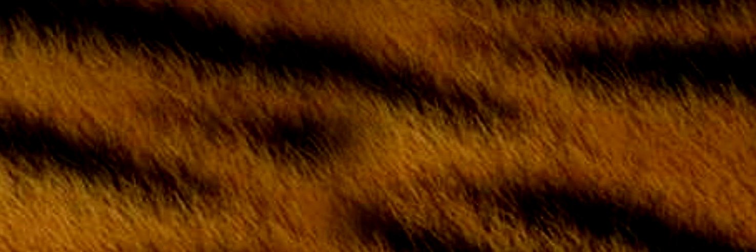 faofao123's profile banner image