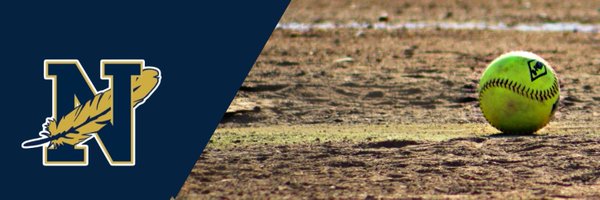 NollSoftball Profile Banner