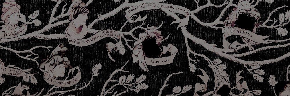 ►| 𝐂𝐘𝐆𝐍𝐔𝐒 𝐁𝐋𝐀𝐂𝐊 𝐈𝐈𝐈 NEW 📌 banner