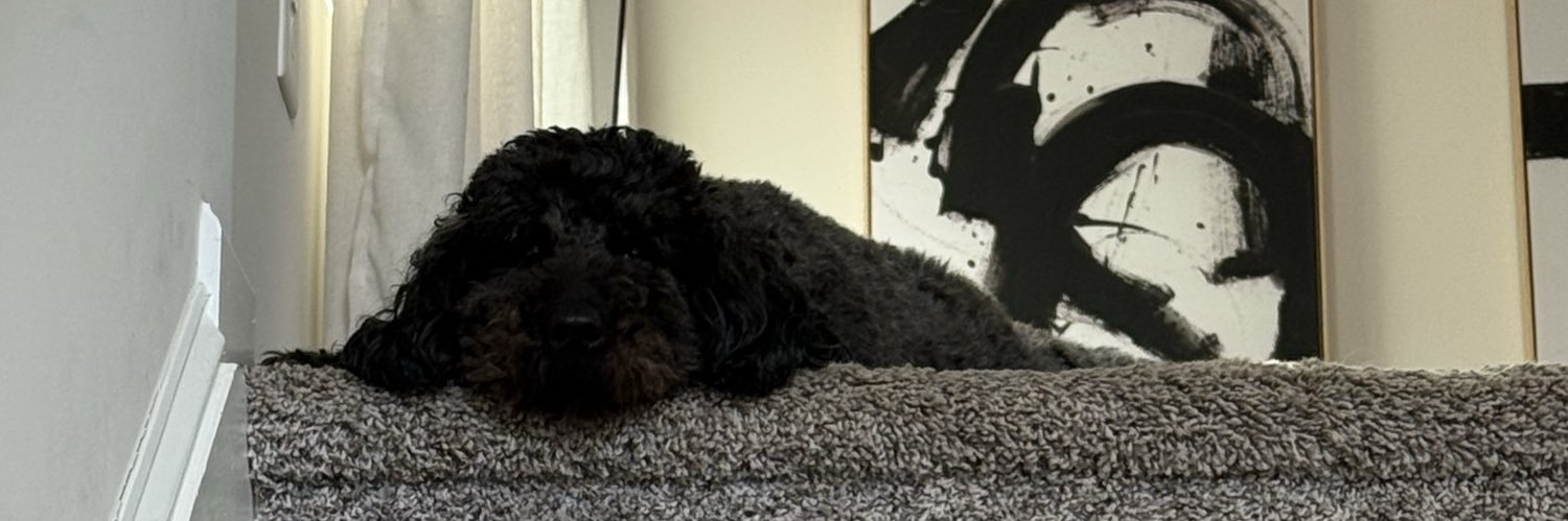 miss mamas banner