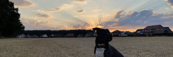 HunterSimba Profile Banner