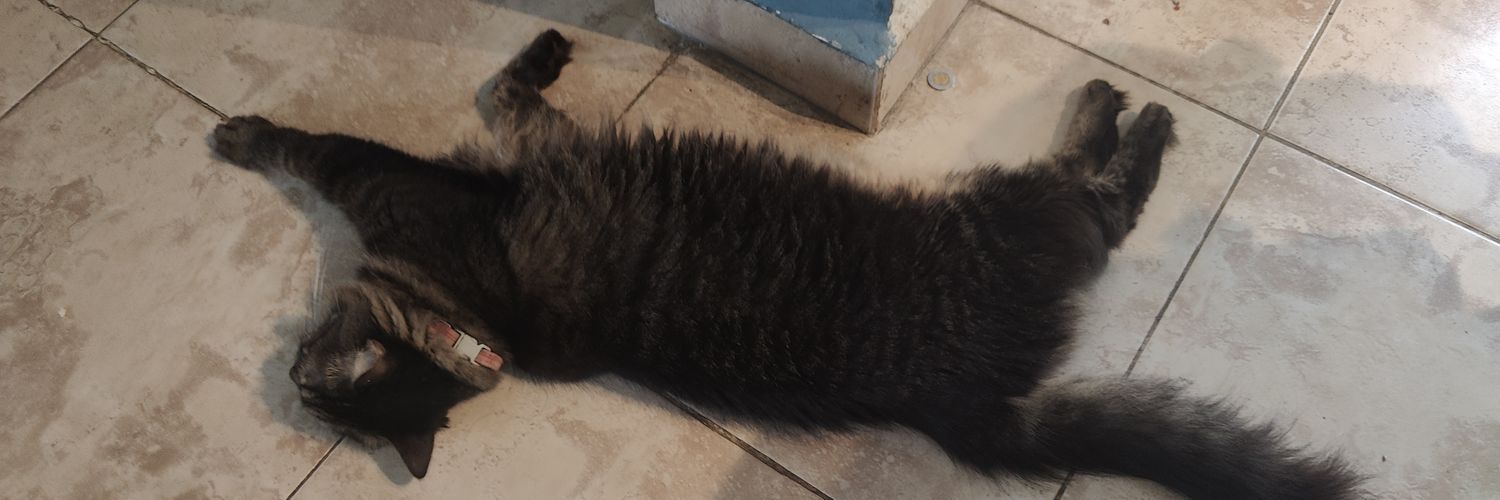 rextamor's profile banner image