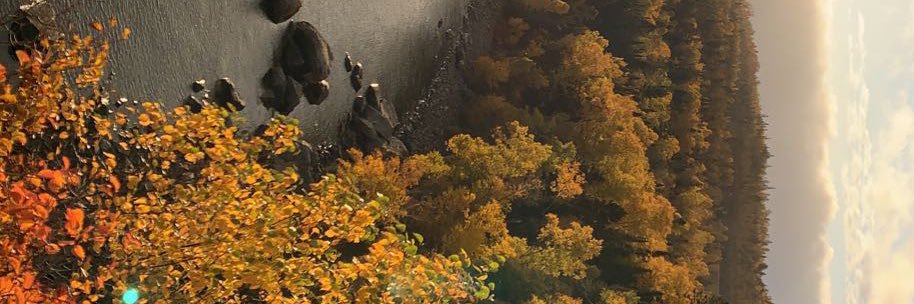 JodyMFLoca's profile banner image