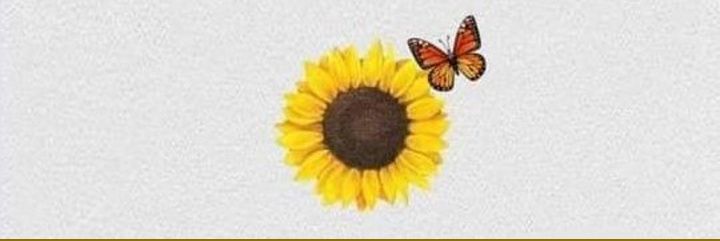 _ALEJANDRA_🌜 banner