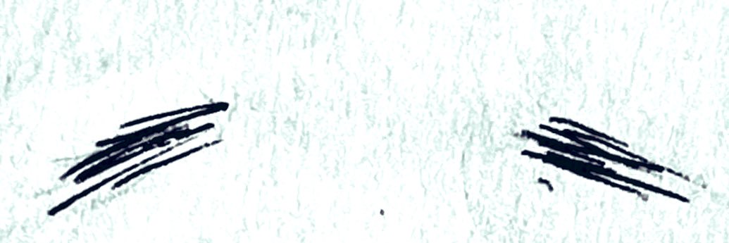 Coloeus Monedula banner